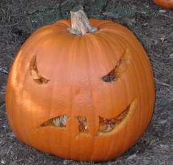 Crazy Mouth, Nipomo Pumpkin Patch, carving idea